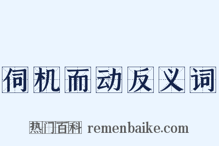 伺机而动反义词是什么意思的图片